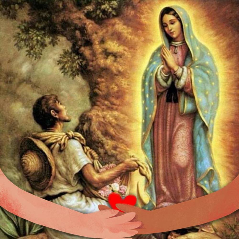Meet your Posher, Sheny